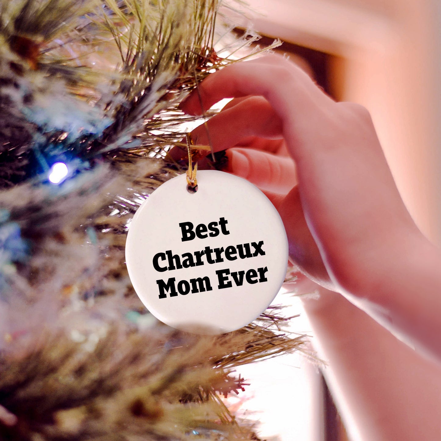 Chartreux Cat Mom Gifts from Family to Friends - Best Chartreux Mom Ever Circle Ornament for Christmas