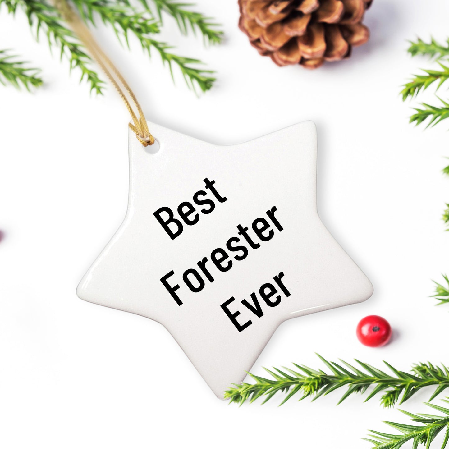 Forester Star Ornament, Best Forester Ever Funny Quote, Gifts from Men to Forester, Unique Christmas Unique Gifts
