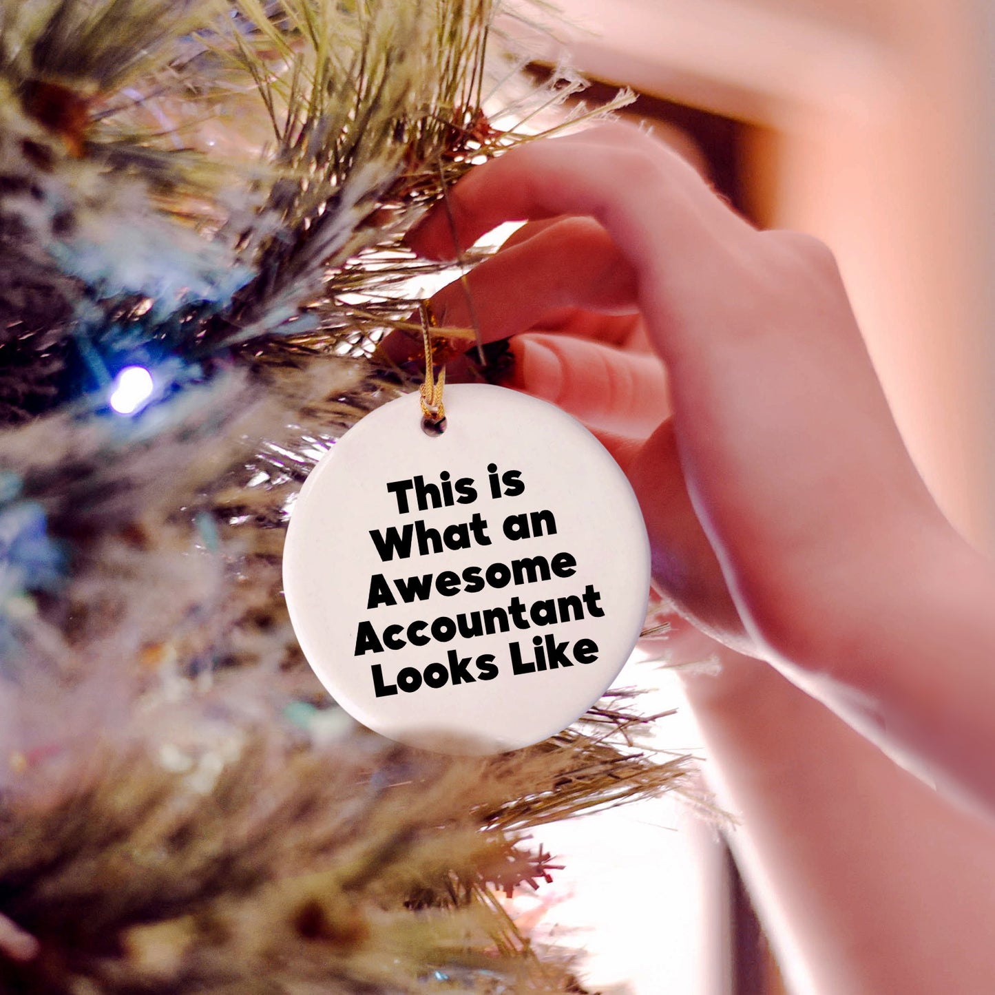 Funny Accountant Gifts, Circle Ornament, 'This Is What An Awesome Accountant Looks Like', Christmas Unique Gifts from Friends, Coworkers, Family for Accountants