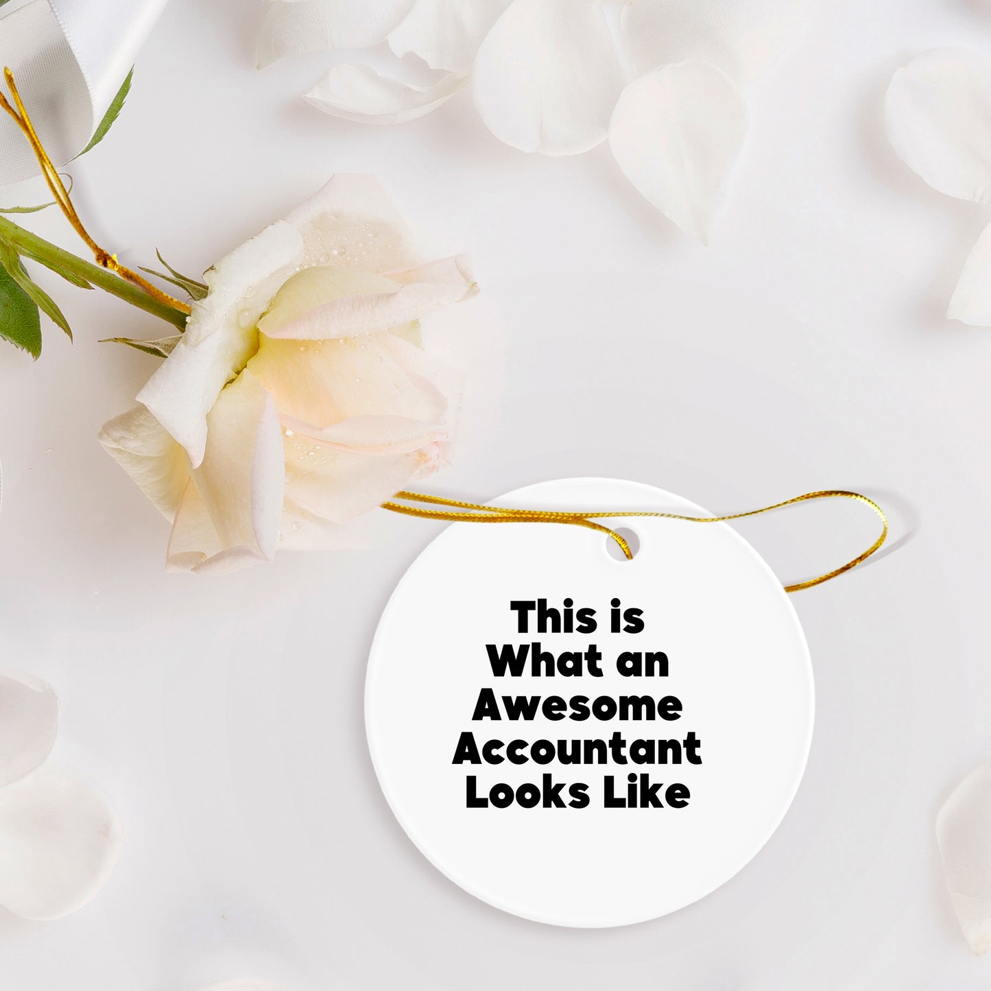 Funny Accountant Gifts, Circle Ornament, 'This Is What An Awesome Accountant Looks Like', Christmas Unique Gifts from Friends, Coworkers, Family for Accountants