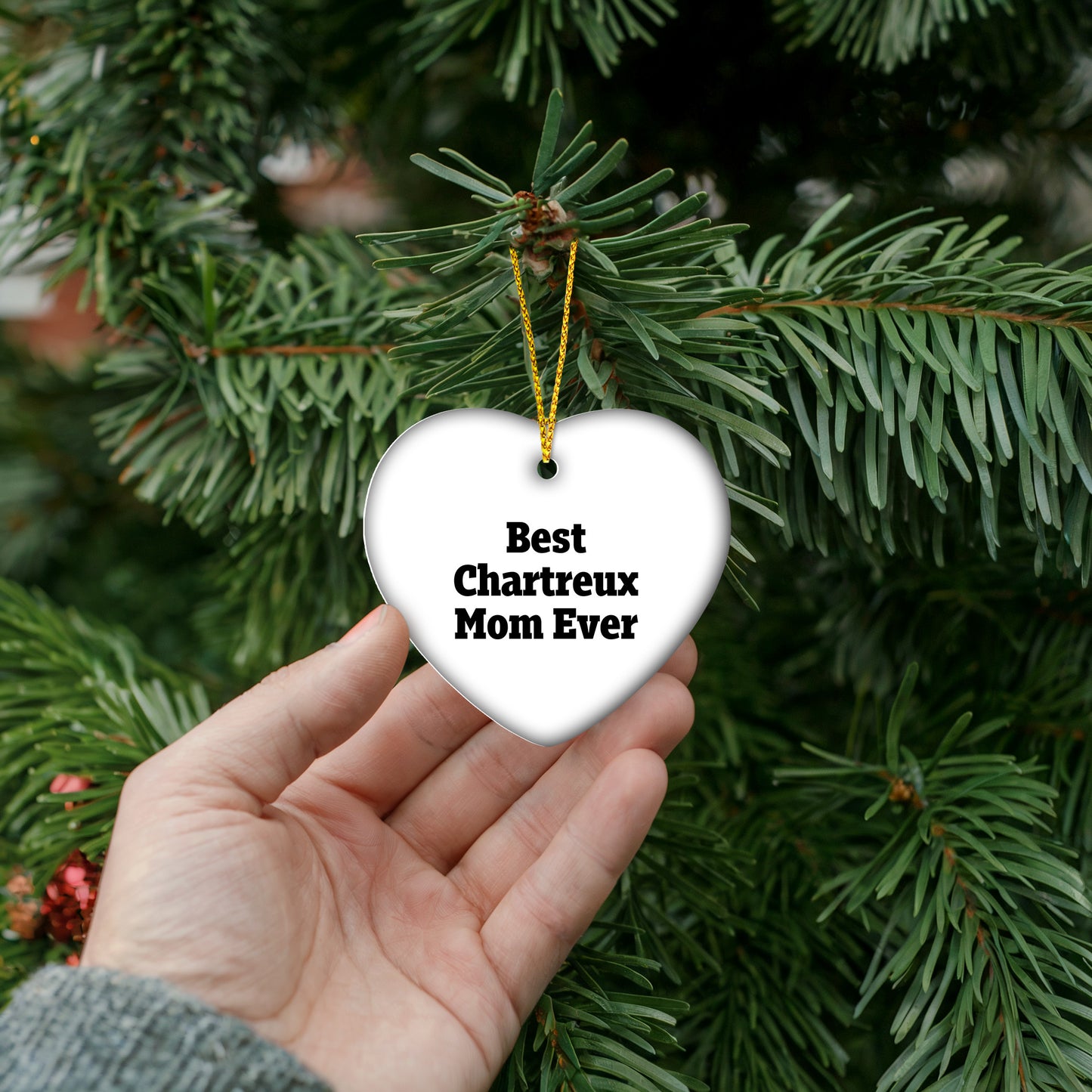 Funny Chartreux Cat Mom Gifts from Friends for Christmas Heart Ornament Best Mom Ever
