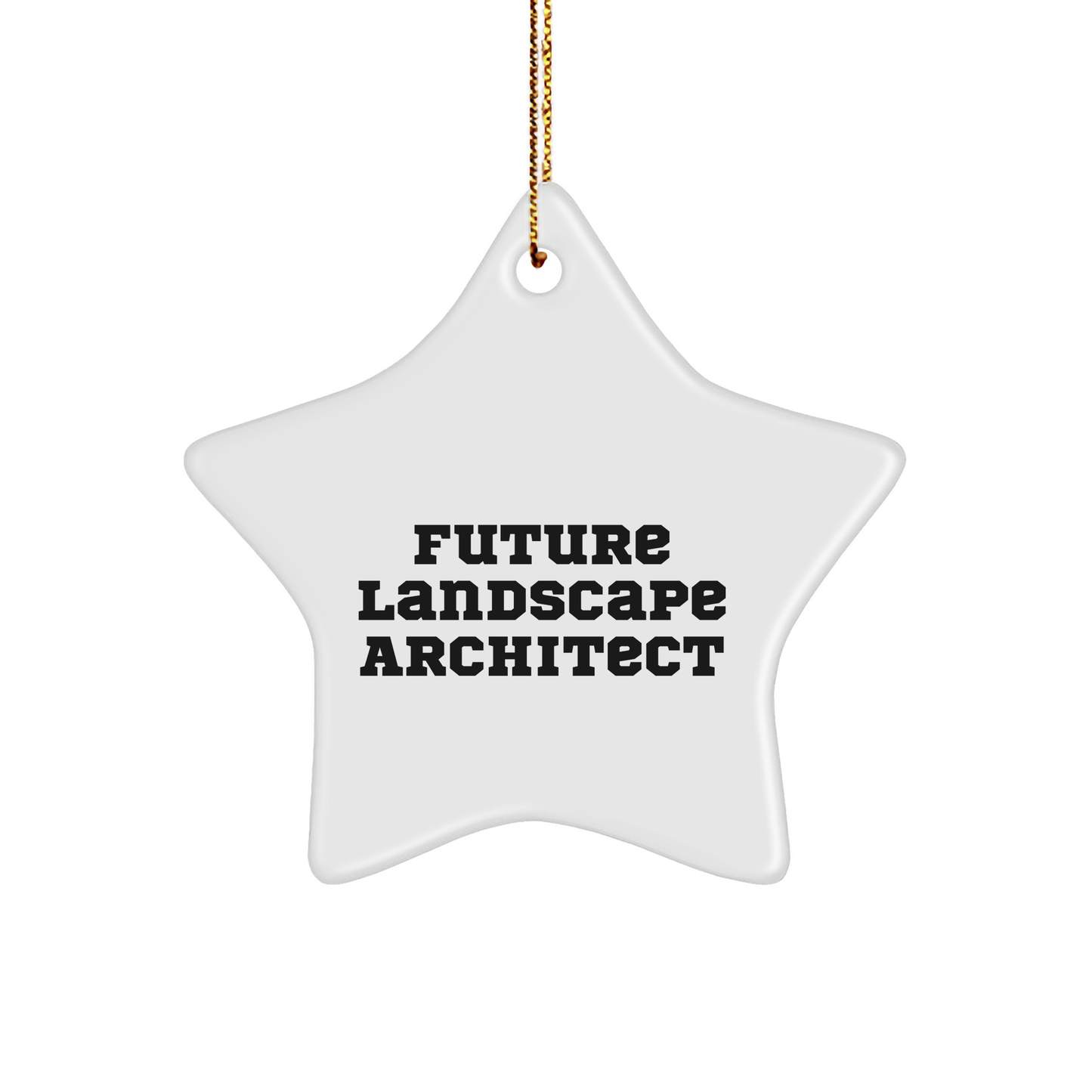 Funny Future Landscape Architect Gifts - Star Ornament for Christmas, 'Believe in Yourself' Quote, Gifts from Family to Friends or Coworkers, Perfect for Home Decor
