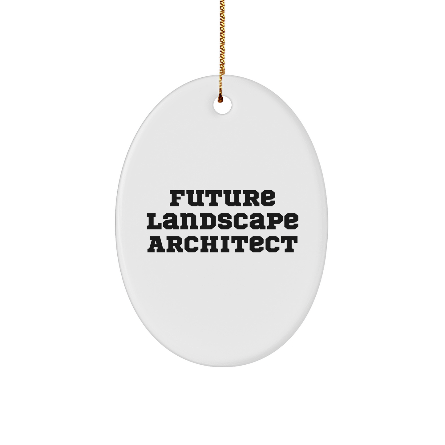 Funny Landscape Architect Gifts from Men to Future Landscape Architects, Oval Ornament with Inspirational Quote for Christmas Unique Gifts