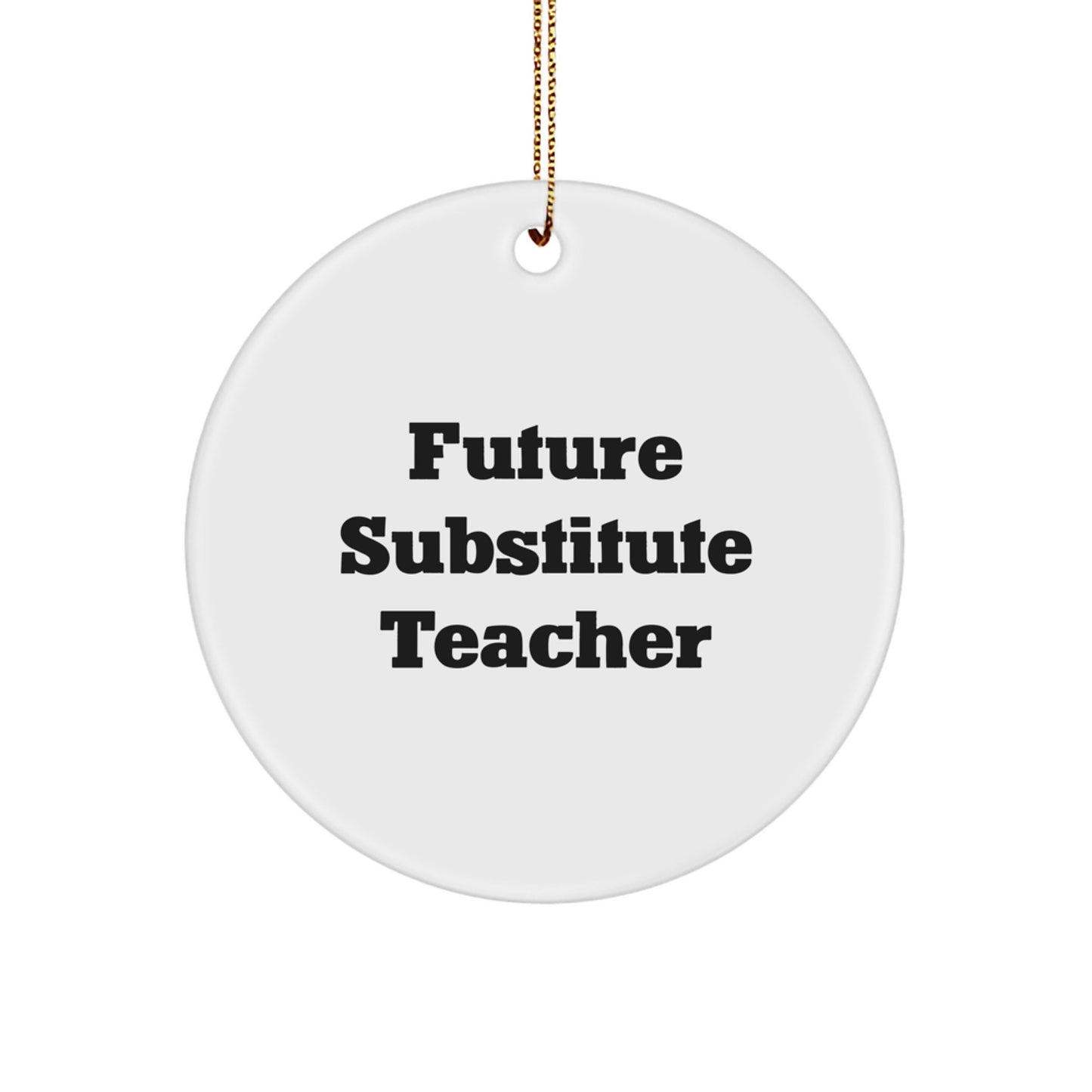 Funny Substitute Teacher Gifts for Future Educators, Circle Ornament with Inspirational Quote, Christmas Unique Gifts from Friends, Coworkers, or Family