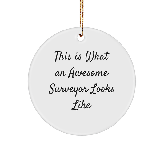 Funny Surveyor Gifts from Friends, 'This Is What An Awesome Surveyor Looks Like', Circle Ornament, White, Christmas Unique Gifts