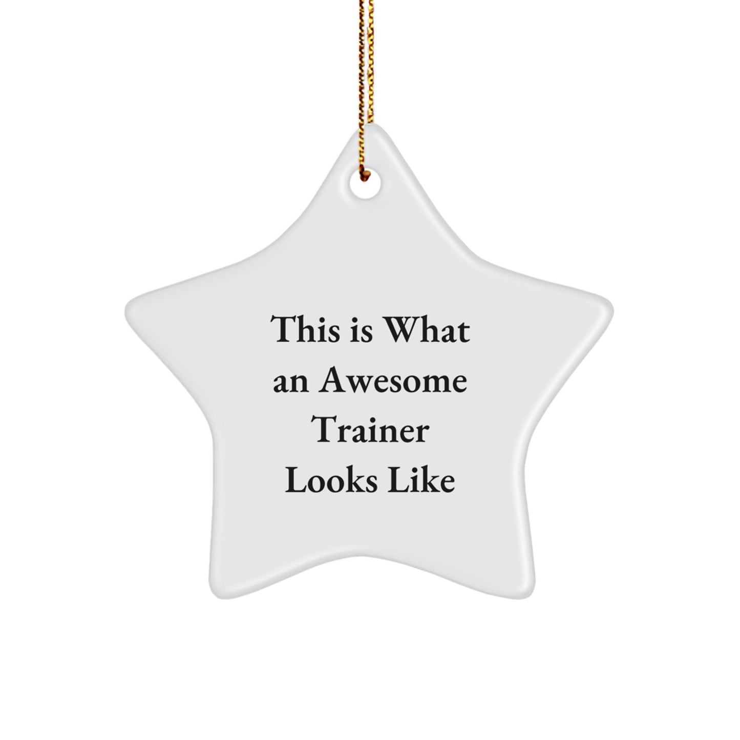 Funny Trainer Gifts from Friends - This Is What An Awesome Trainer Looks Like Star Ornament, Perfect for Christmas