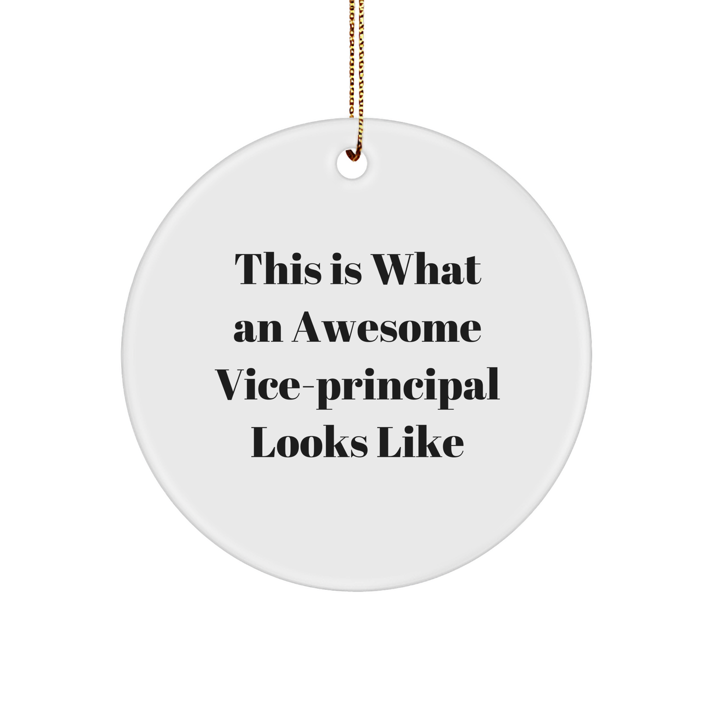 Funny Vice-Principal Gifts from Friends - This Is What An Awesome Vice-Principal Looks Like, Circle Ornament for Vice-Principal, Christmas Unique Gifts for Vice-Principal