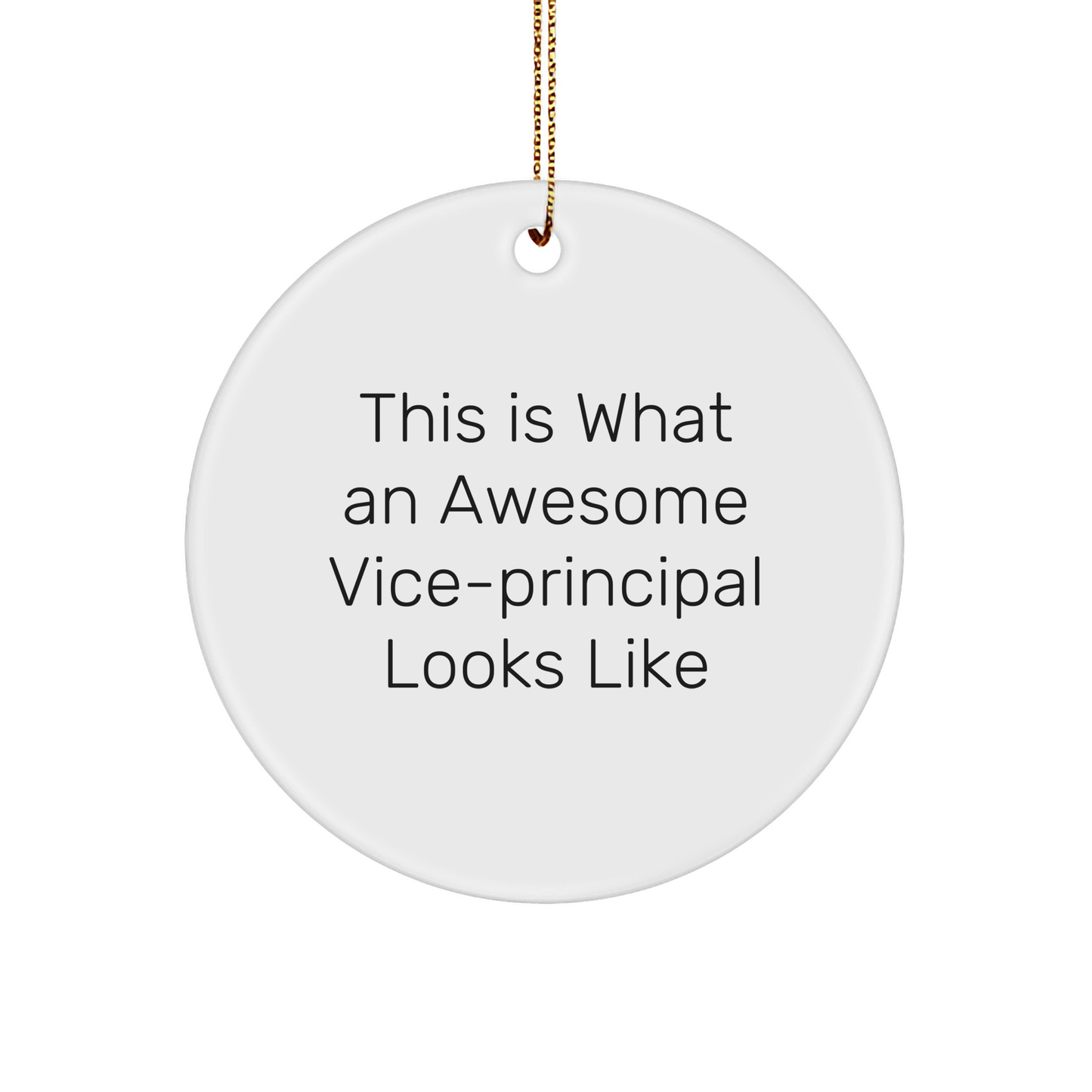 Funny Vice-Principal Gifts from Friends for Christmas Unique Circle Ornaments - This Is What An Awesome Vice-Principal Looks Like