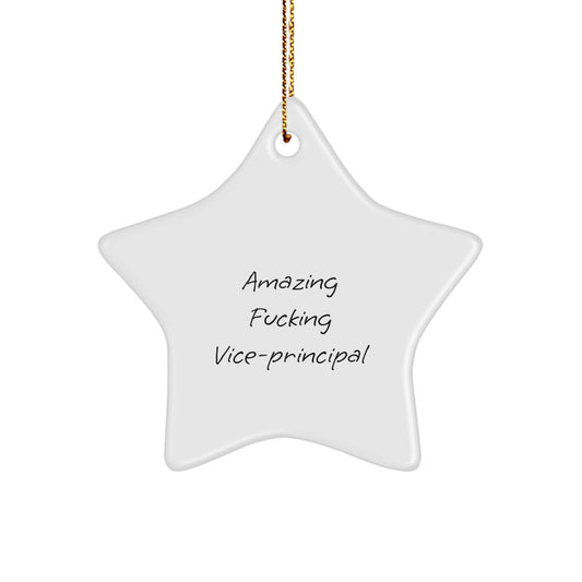 Funny Vice-Principal Star Ornament, Gifts from Friends for Amazing Vice-Principal, Christmas Unique Gifts