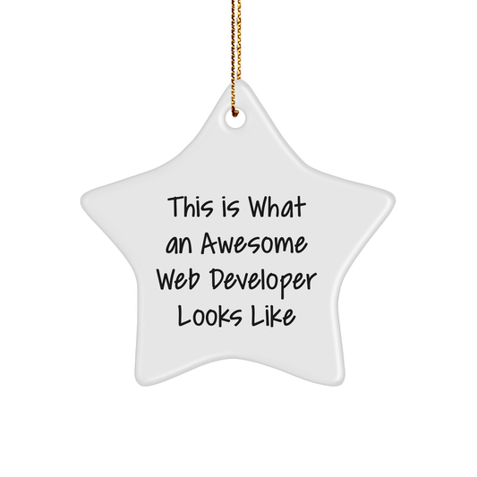 Funny Web Developer Gifts - This Is What An Awesome Web Developer Looks Like Star Ornament for Christmas Unique Gifts from Family to Friends