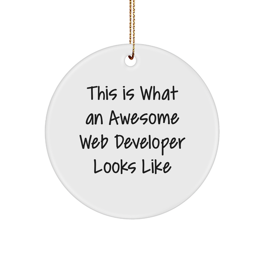 Funny Web Developer Gifts from Friends - This Is What An Awesome Web Developer Looks Like Circle Ornament for Christmas