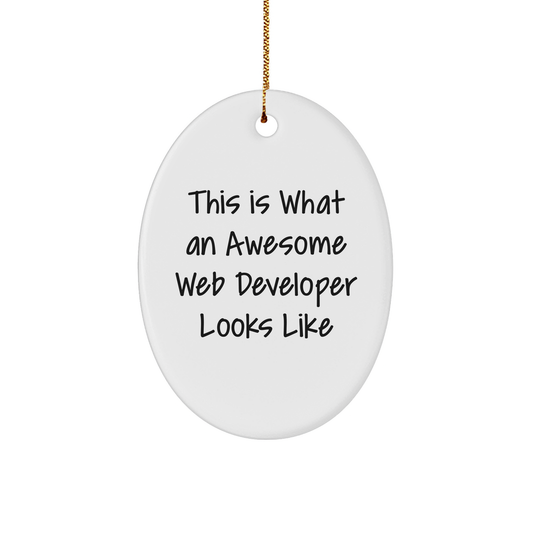 Funny Web Developer Gifts from Friends for Men - Oval Ornament This Is What An Awesome Web Developer Looks Like - Christmas Unique Presents
