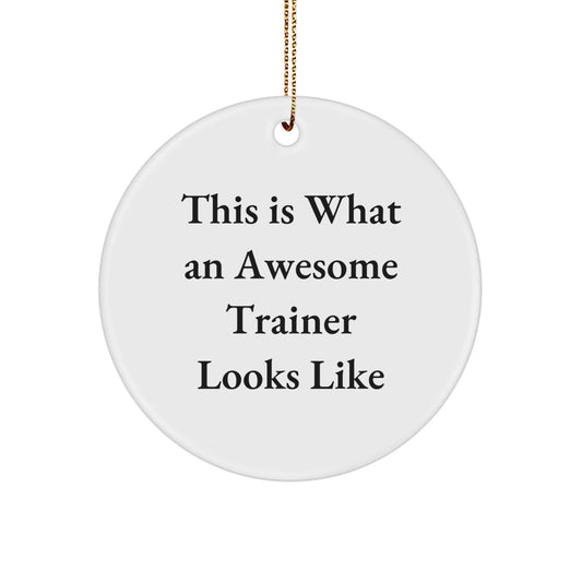 Gifts from Friends for Awesome Trainers - Trainer Circle Ornament, This Is What An Awesome Trainer Looks Like, White, 2.75 Tall, Christmas Decor