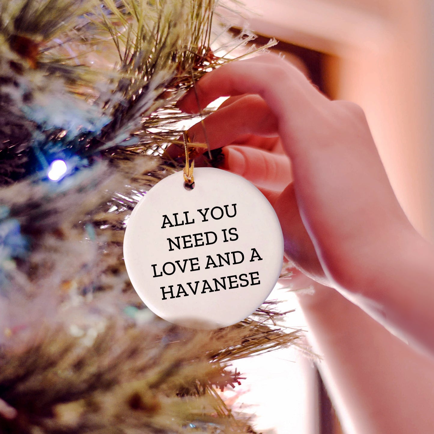 Havanese Dog Lovers Gifts, All You Need Is Love And A Havanese, Circle Ornament, Christmas Unique Gifts from Family to Friends
