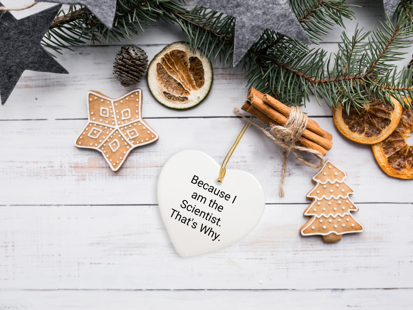 Scientist Gifts from Men for Christmas Unique Heart Ornaments, 'Because I Am The Scientist. That's Why.' - Funny Christmas Unique Gifts for Him