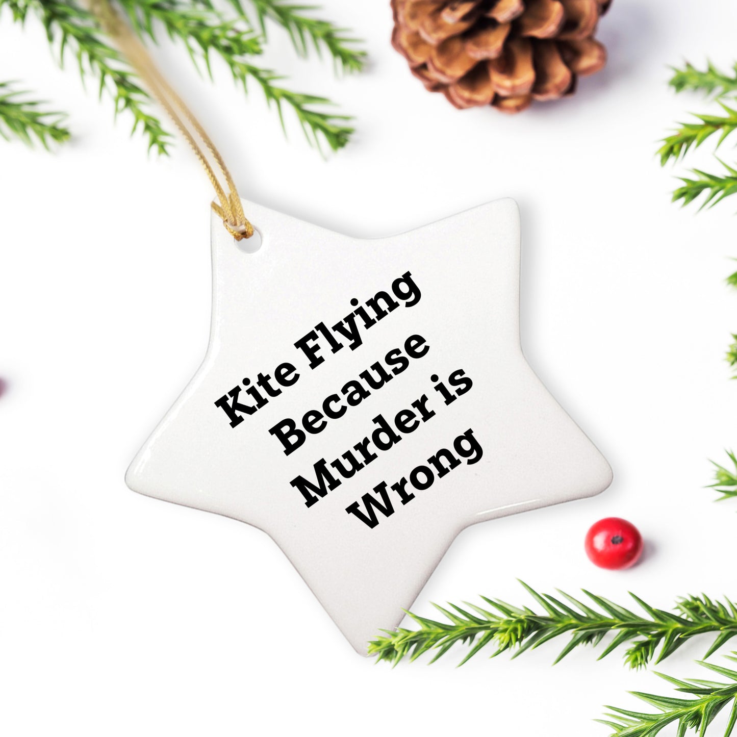 Kite Flying Star Ornament Gifts from Family, Friends, and Coworkers for Kite Flying Enthusiasts - Funny Quote