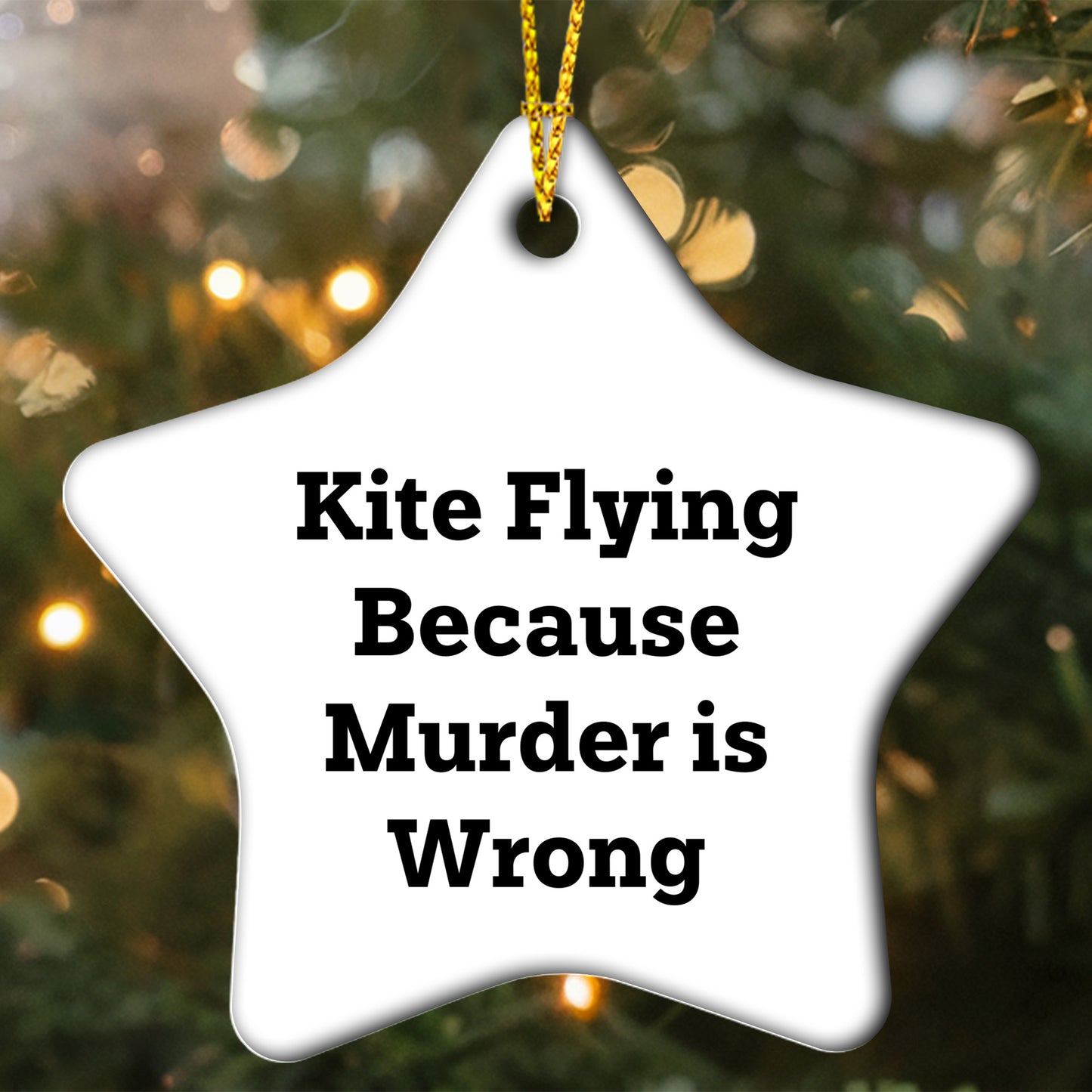 Kite Flying Star Ornament Gifts from Family, Friends, and Coworkers for Kite Flying Enthusiasts - Funny Quote