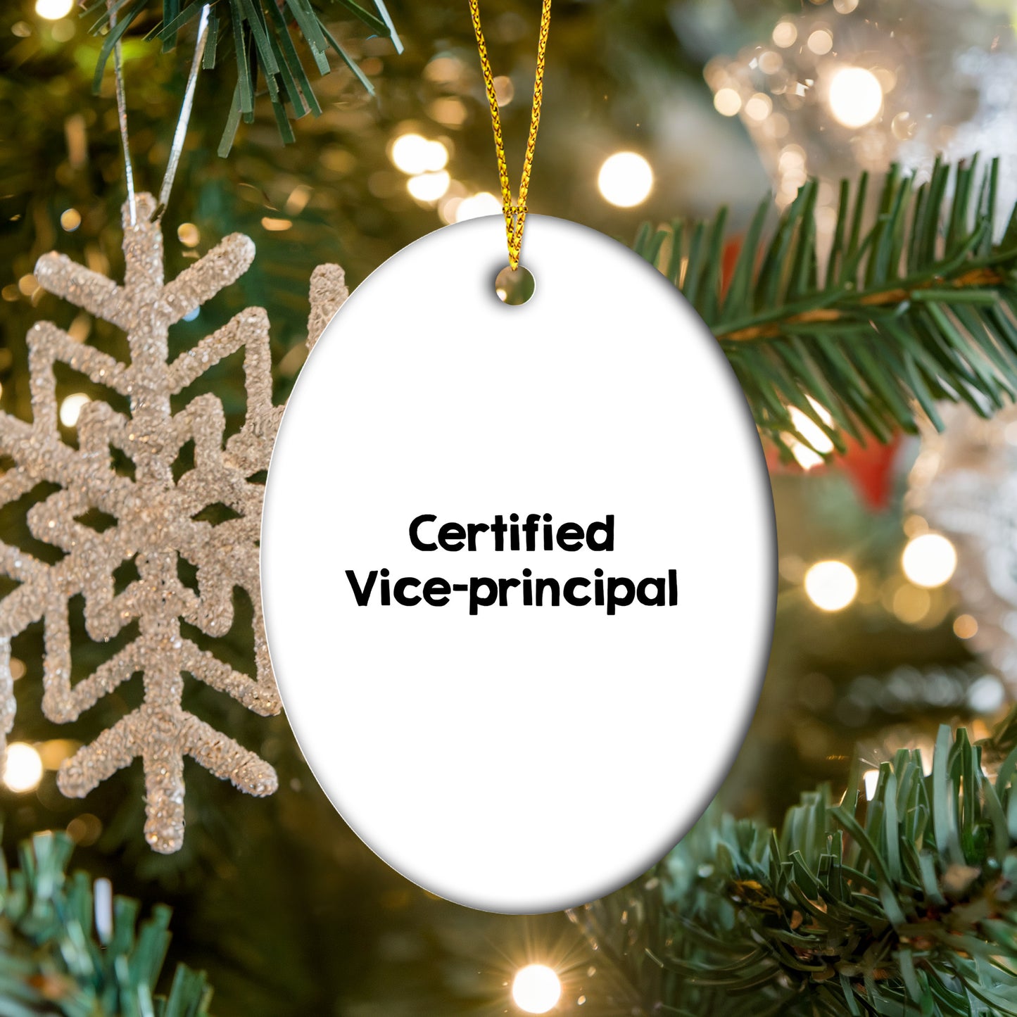 Funny Vice-principal Gifts from Men, Gifts for Vice-principal on Christmas Unique Gifts - Mallard Moon Gift Shop