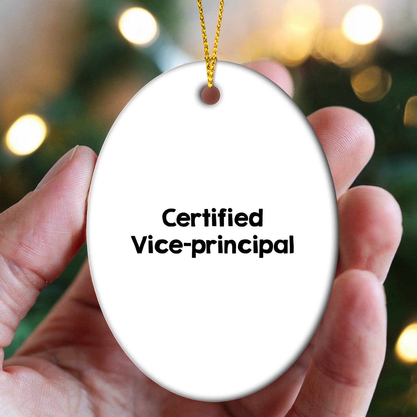 Funny Vice-principal Gifts from Men, Gifts for Vice-principal on Christmas Unique Gifts - Mallard Moon Gift Shop