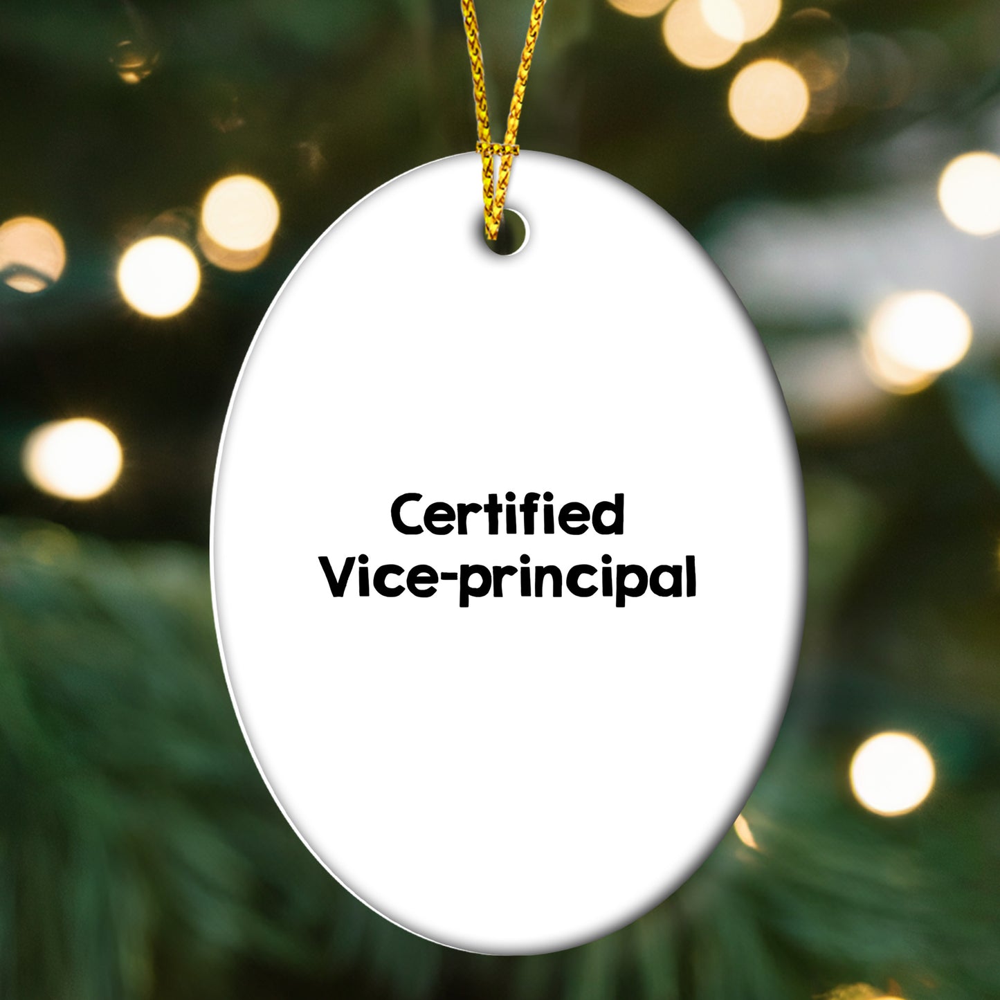 Funny Vice-principal Gifts from Men, Gifts for Vice-principal on Christmas Unique Gifts - Mallard Moon Gift Shop