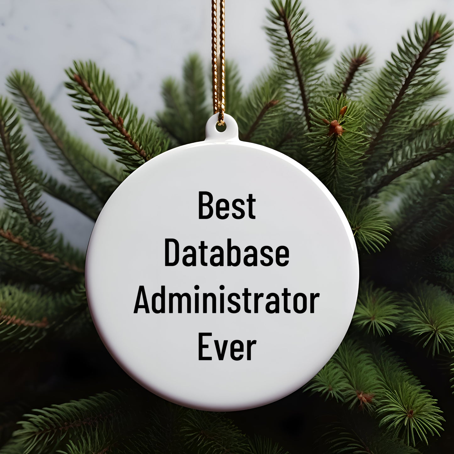Database Administrator Gifts, Funny Quote Circle Ornament, Gifts from Friends for Database Administrator, Unique Christmas Unique Gifts for Men