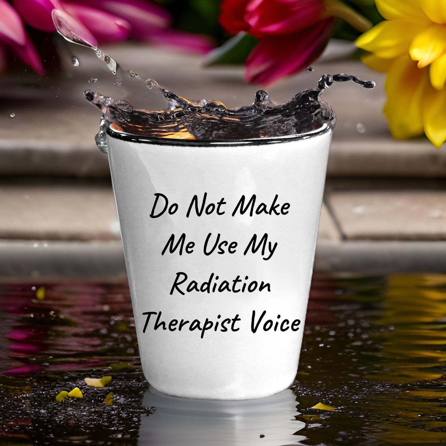 Radiation Therapist Gifts, Do Not Make Me Use My Radiation Therapist Voice, Birthday, Christmas, Coworker Gifts - Mallard Moon Gift Shop