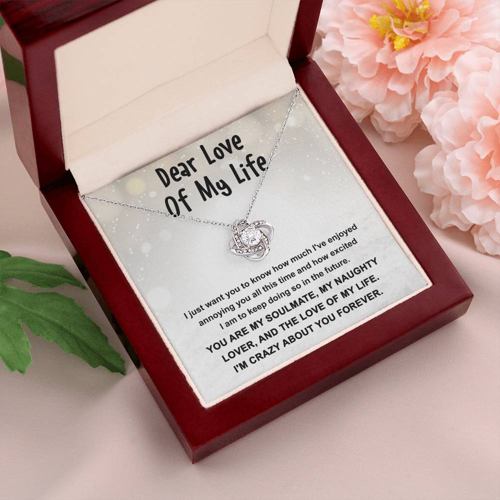 Gift for the Love of My Life, My Soulmate, My Naughty Lover - Love Knot Necklace - Mallard Moon Gift Shop
