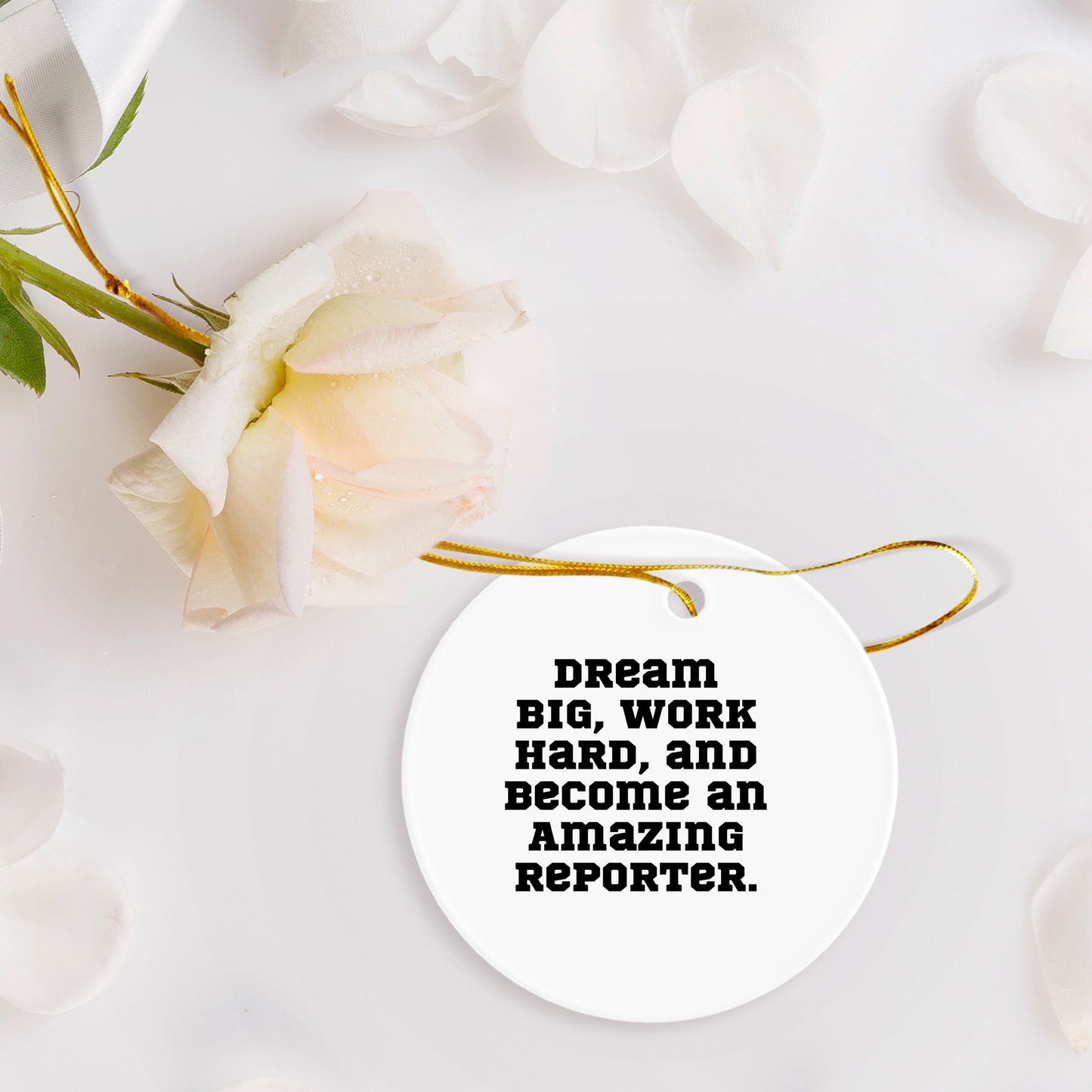 Reporter Christmas Circle Ornament- 'Dream Big, Work Hard, And Become An Amazing Reporter.' Gifts