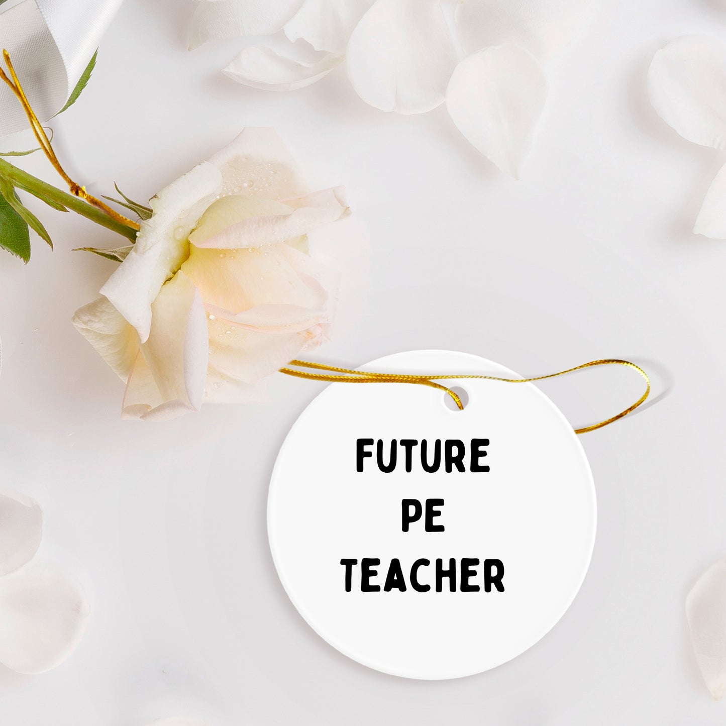 Funny Inspirational PE Teacher Circle Christmas Ornament, 'Future PE Teacher' Gifts