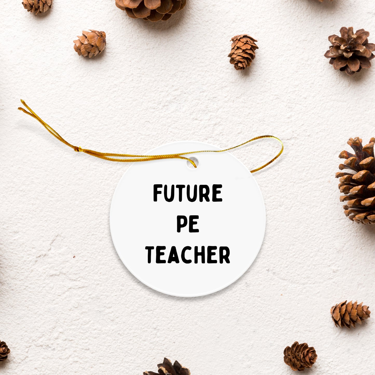 Funny Inspirational PE Teacher Circle Christmas Ornament, 'Future PE Teacher' Gifts
