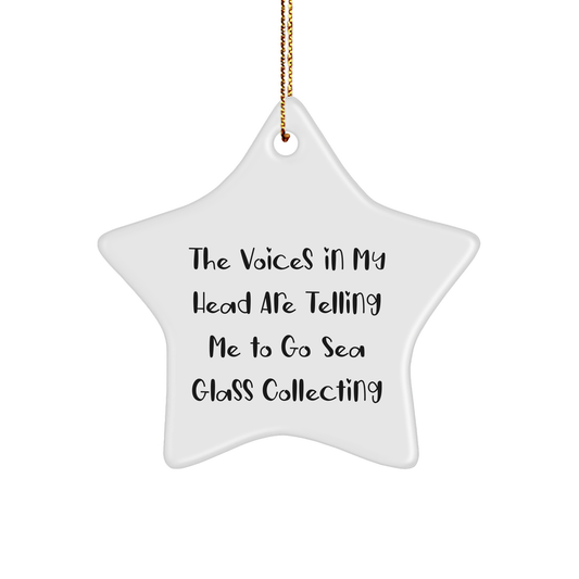 Sea Glass Collecting Gifts from Friends, Funny Star Ornament for Christmas, Inspirational Quote for Men, Women, Coworkers, or Family