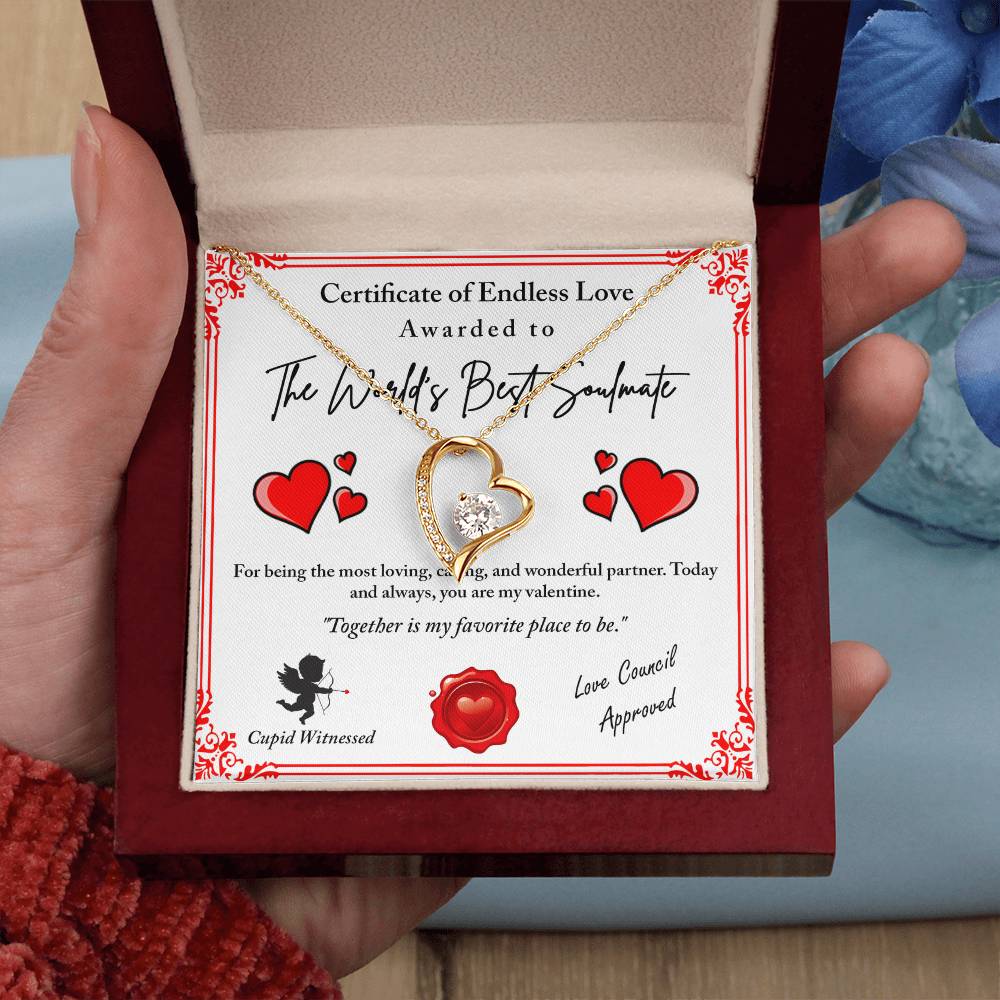 To My Valentine: Romantic Love Knot Necklace with Emotional Message - Mallard Moon Gift Shop