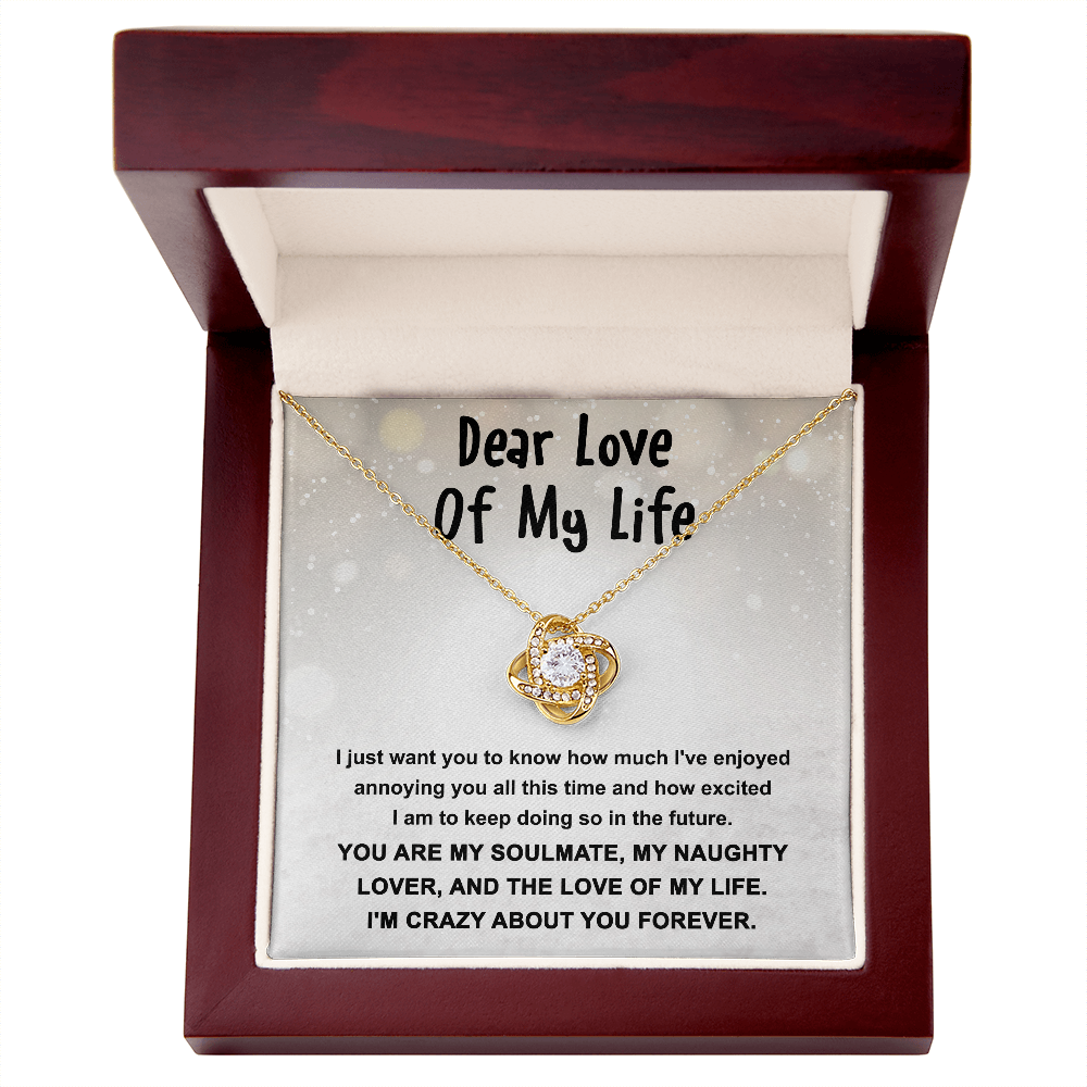 Gift for the Love of My Life, My Soulmate, My Naughty Lover - Love Knot Necklace - Mallard Moon Gift Shop