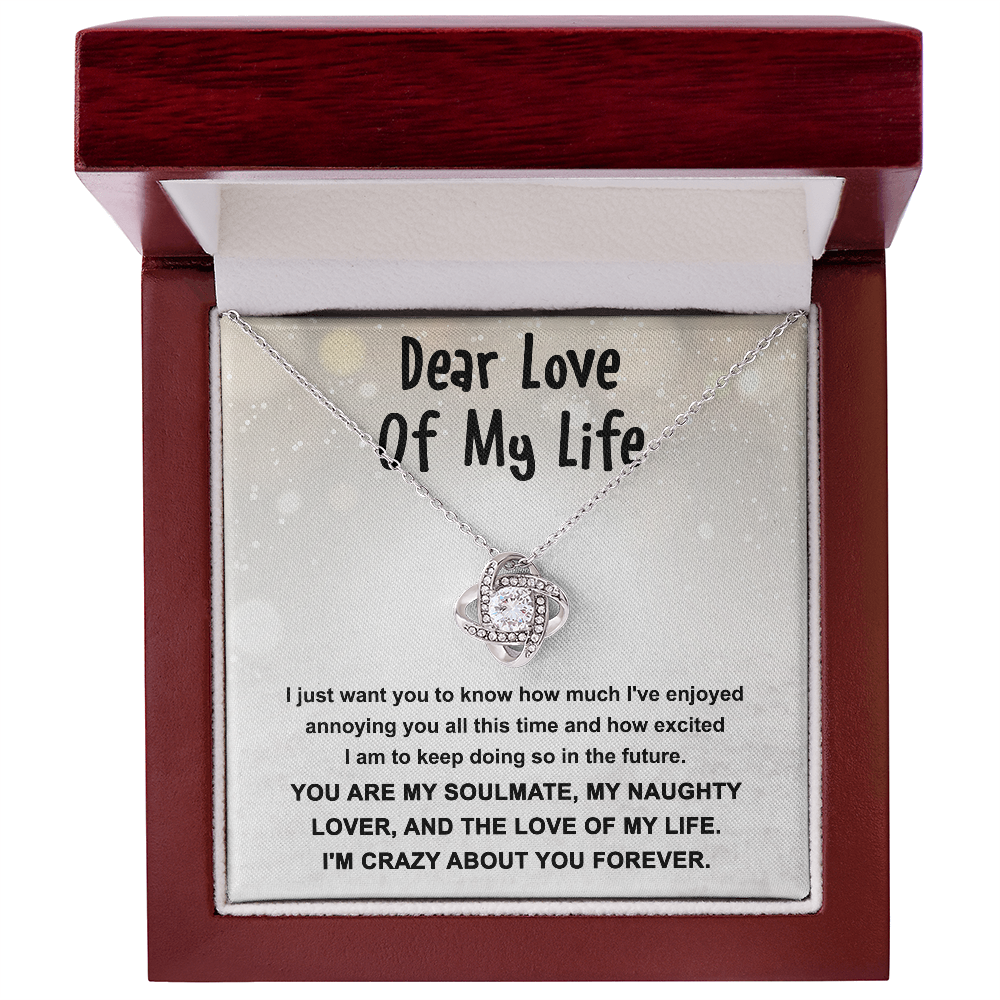 Gift for the Love of My Life, My Soulmate, My Naughty Lover - Love Knot Necklace - Mallard Moon Gift Shop