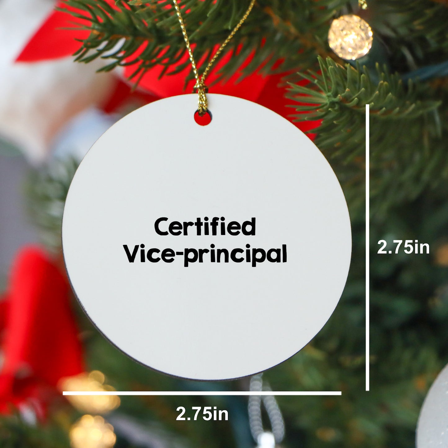 Funny Vice-Principal Gifts, 'Certified Vice-Principal' Circle Ornament for Christmas, Gifts from Men to Vice-Principals, Vice-Principal Appreciation