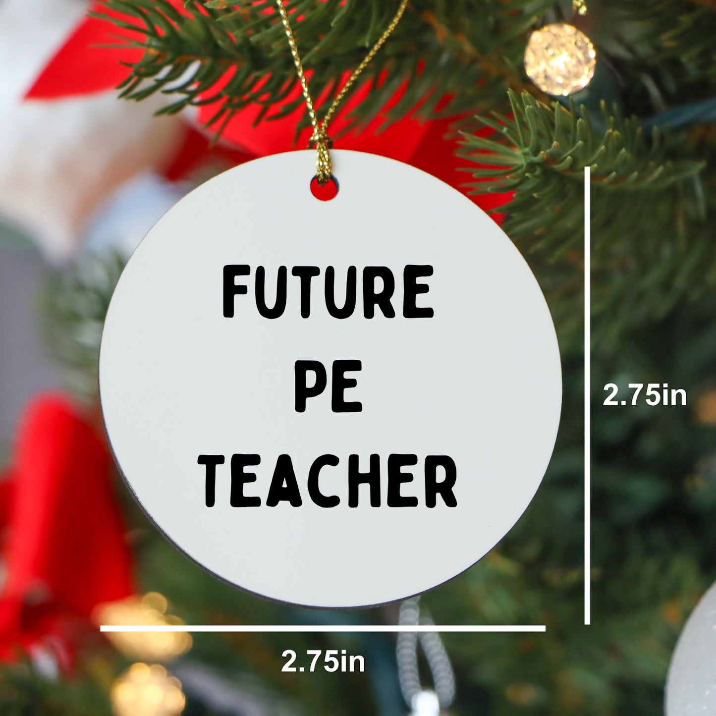 Funny Inspirational PE Teacher Circle Christmas Ornament, 'Future PE Teacher' Gifts