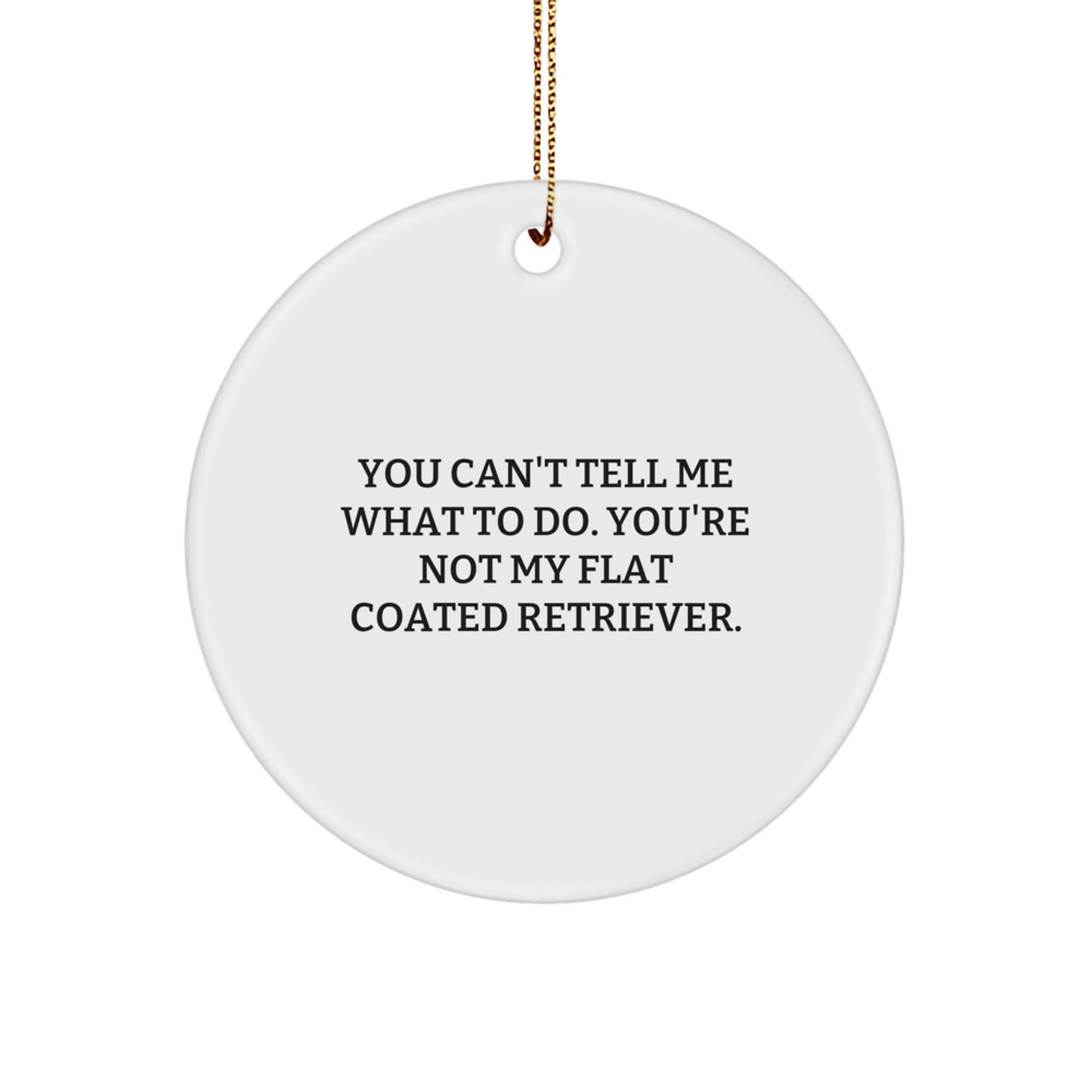 Funny Flat Coated Retriever Dog Gifts from Friends for Christmas, 'You Can't Tell Me What To Do' Circle Ornament
