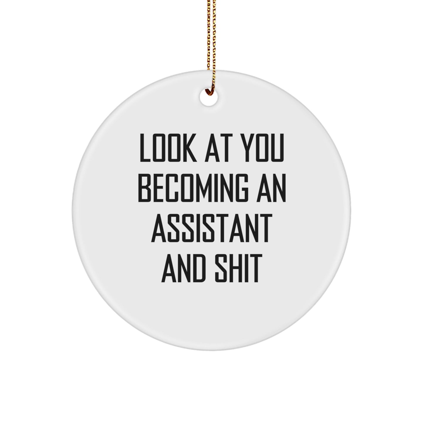 Funny Assistant Gifts for Friends and Family - Look At You Becoming An 'Assistant' And Shit Christmas Ornament - Image 1