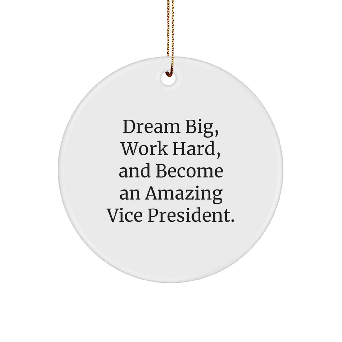 Funny Vice President Gifts from Friends for Vice President - Inspirational Christmas Unique Circle Ornaments with 'Dream Big, Work Hard, And Become An Amazing Vice President.' Quote - Image 1