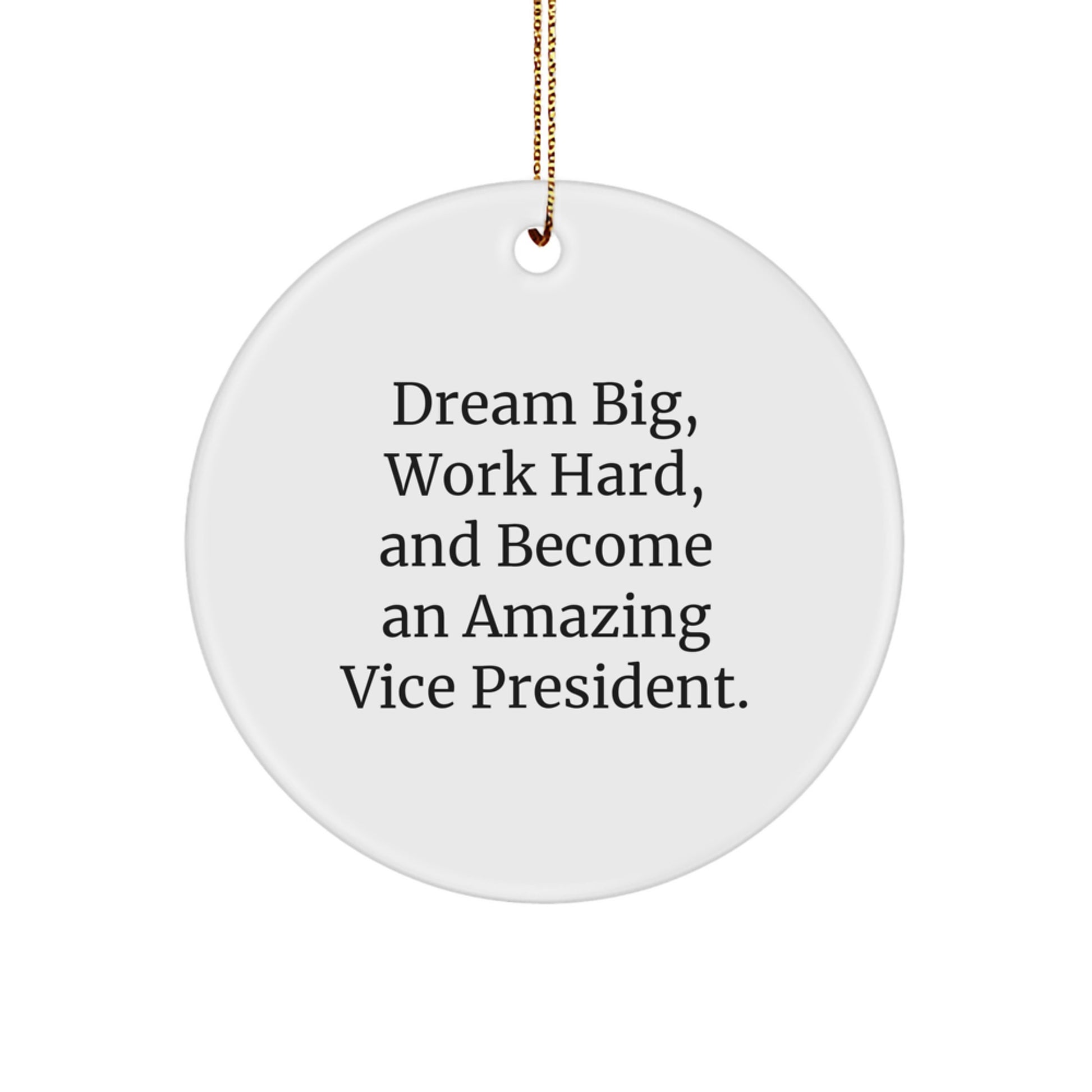 Funny Vice President Gifts from Friends for Vice President - Inspirational Christmas Unique Circle Ornaments with 'Dream Big, Work Hard, And Become An Amazing Vice President.' Quote - Image 1
