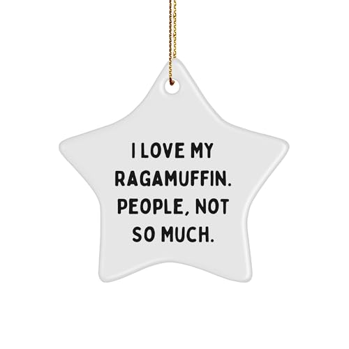 Ragamuffin Cat Star Ornament, I Love My Ragamuffin. People, Not So Much., Gifts from Men to Women, Friends, Coworkers, Family, Christmas Unique Gifts