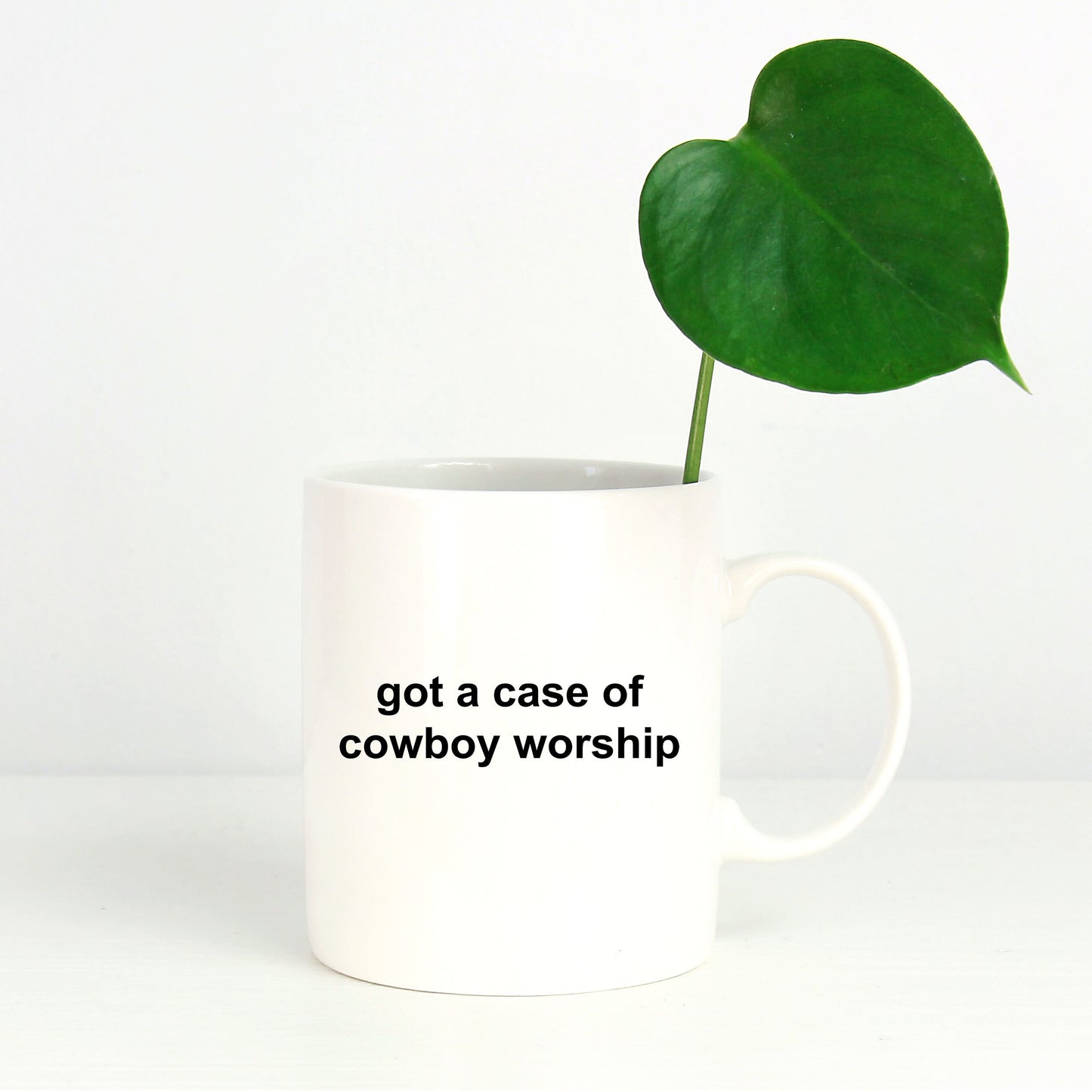 Cowboy Coffee Mug - Got a Case of Cowboy Worship - Mallard Moon Gift Shop