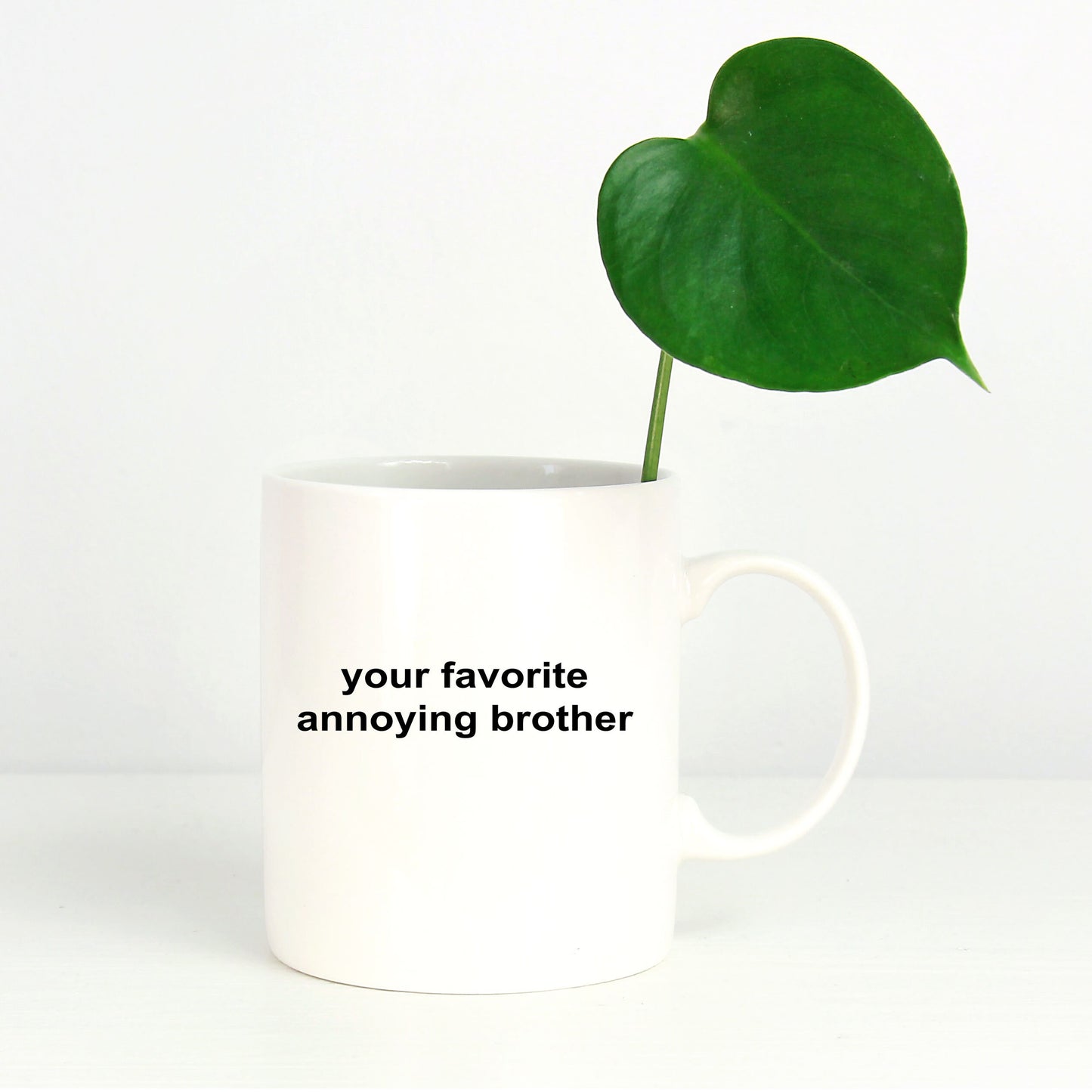 Brother Coffee Mug -Your Favorite Annoying Brother - Mallard Moon Gift Shop