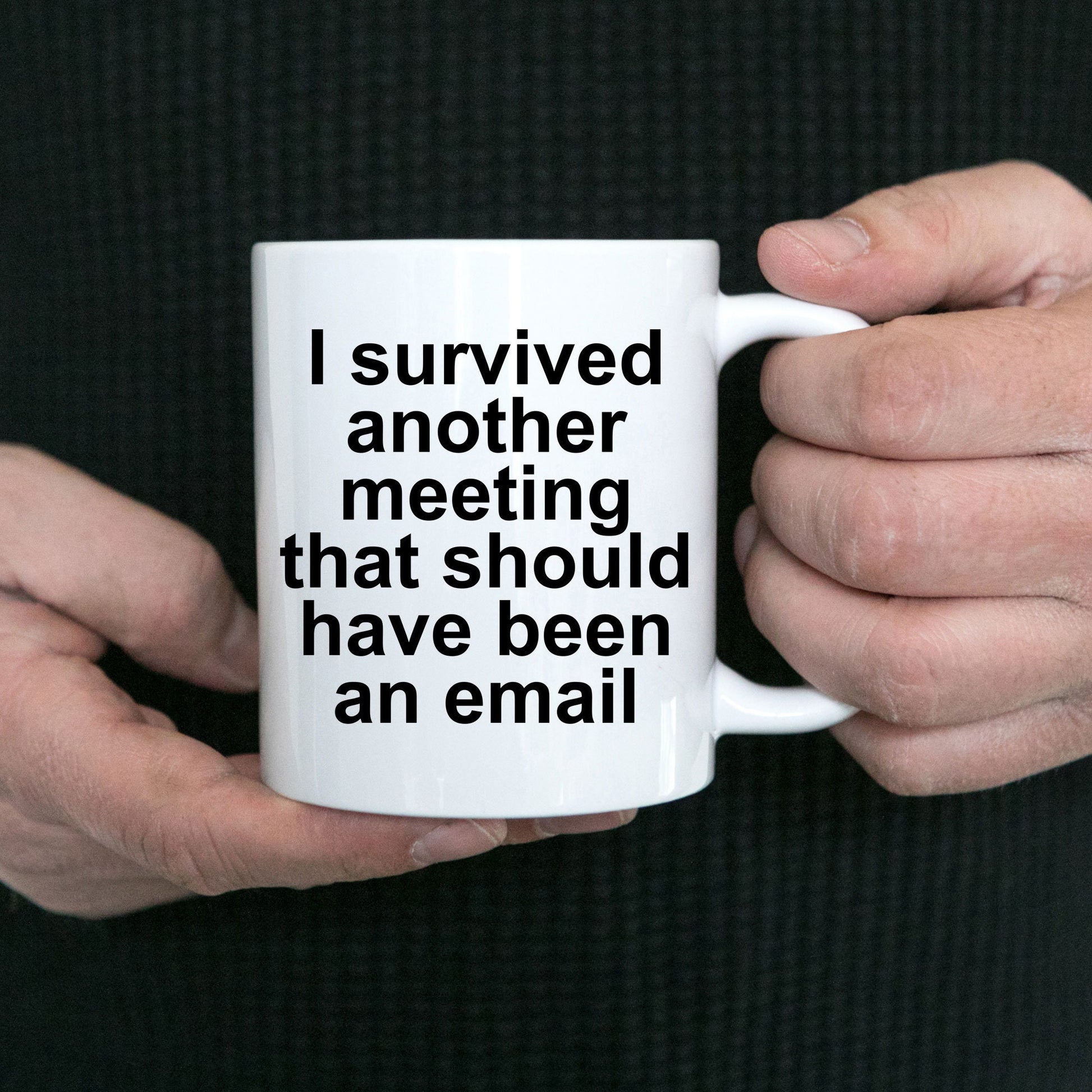 Funny office mug - I survived another meeting that should have been an email - Mallard Moon Gift Shop