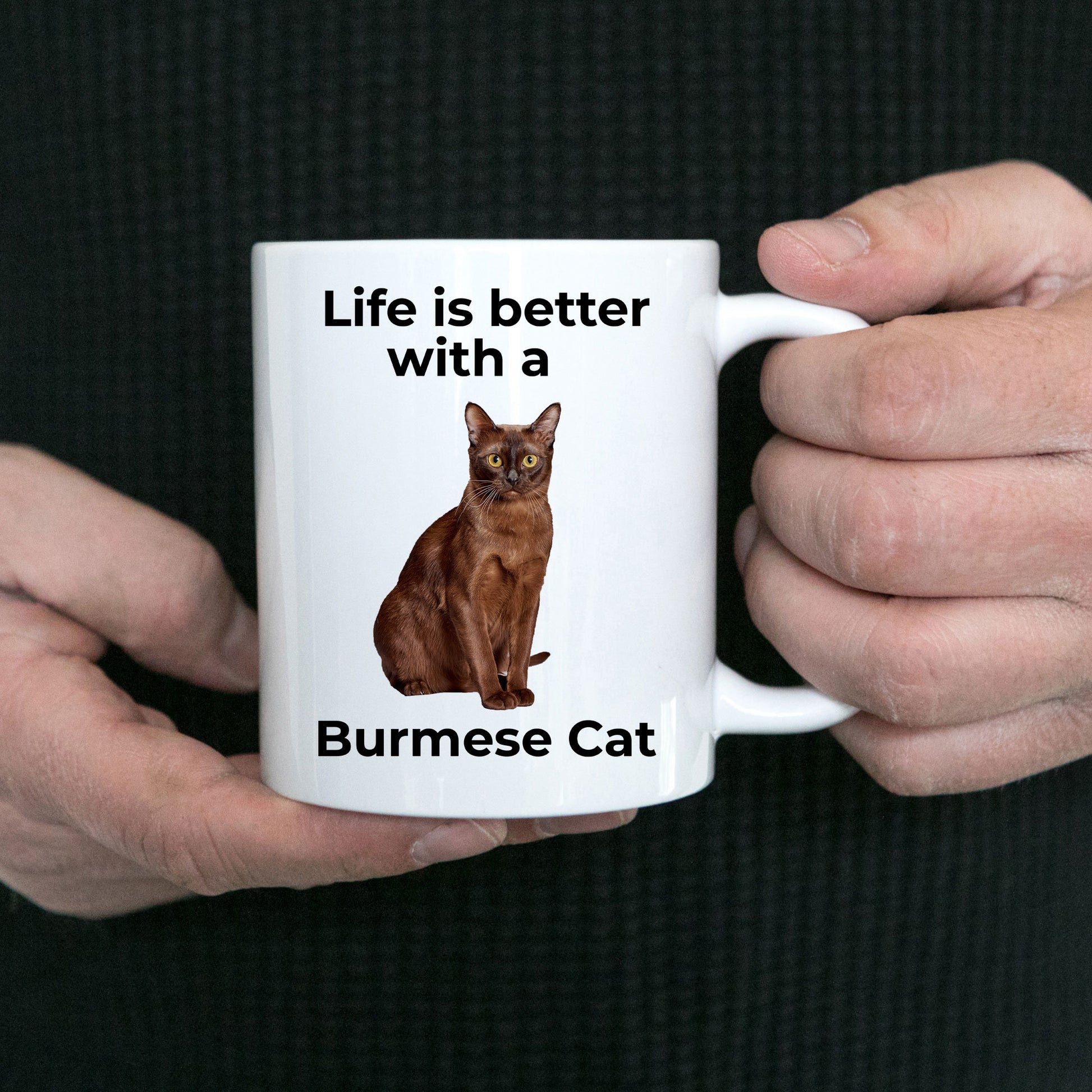 Burmese Cat Coffee Mug - Life is Better - Mallard Moon Gift Shop