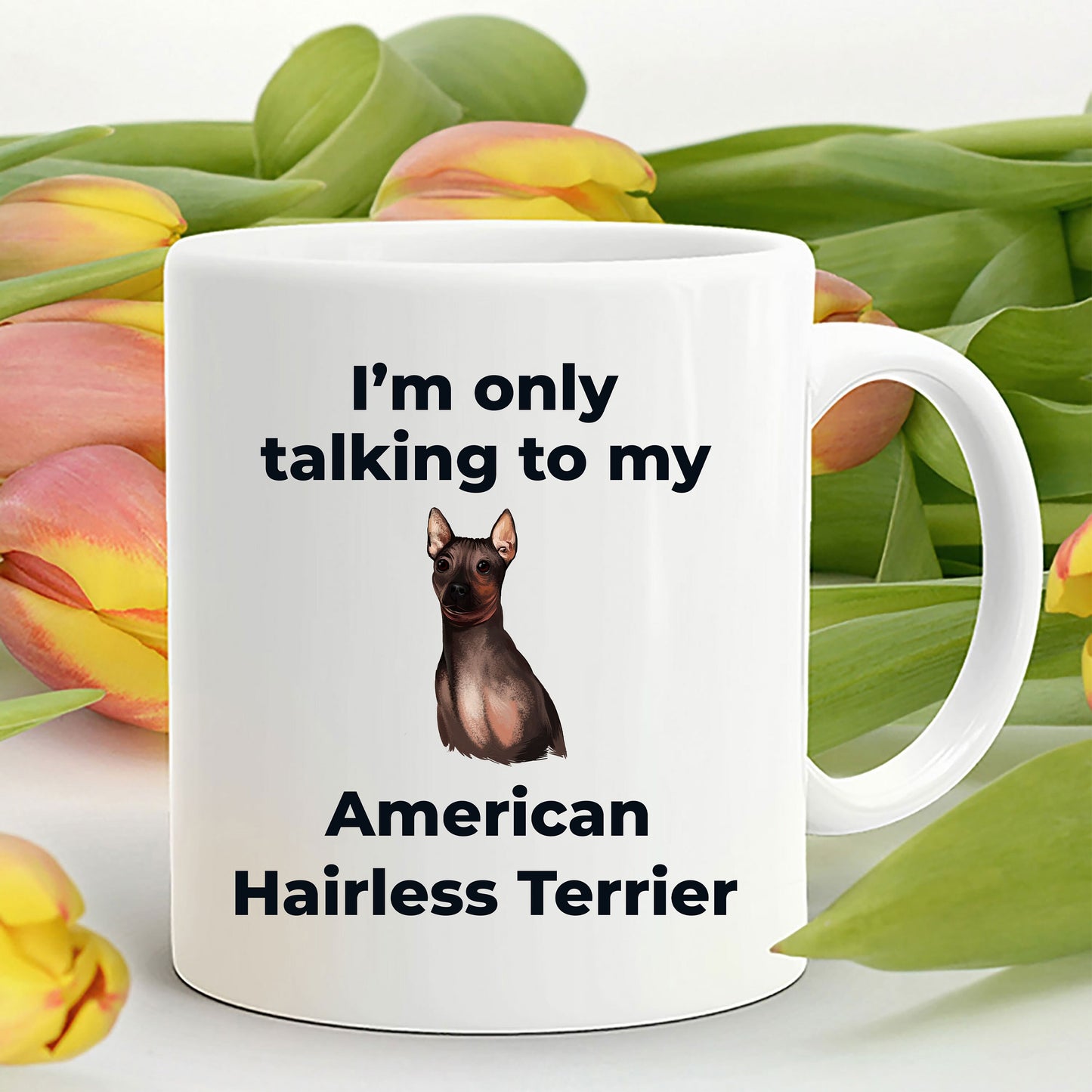American Hairless Terrier Coffee Mug - I'm only talking to my American Hairless Terrier - Mallard Moon Gift Shop