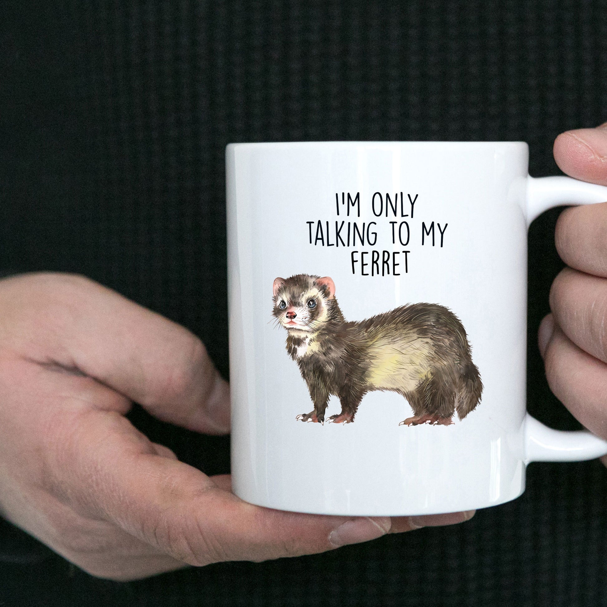 Funny Ferret Custom coffee mug - white ceramic and two tone color - I'm Only Talking To My Ferret - Mallard Moon Gift Shop