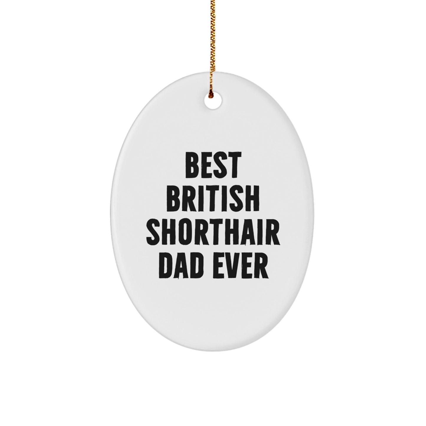 British Shorthair Cat Dad Ever Oval Ornament, Funny Gift from Friends to British Shorthair Cat, Christmas Unique Gifts - Image 1