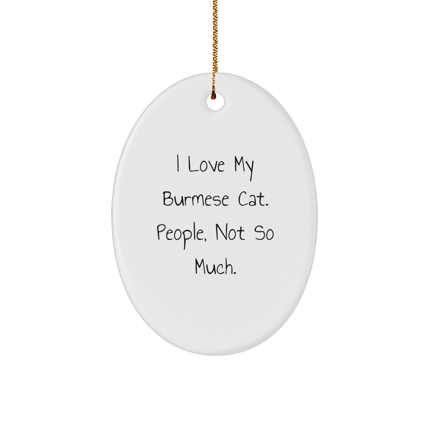 Funny Burmese Cat Lovers Gifts from Family for Christmas Unique Oval Ornaments - Image 1