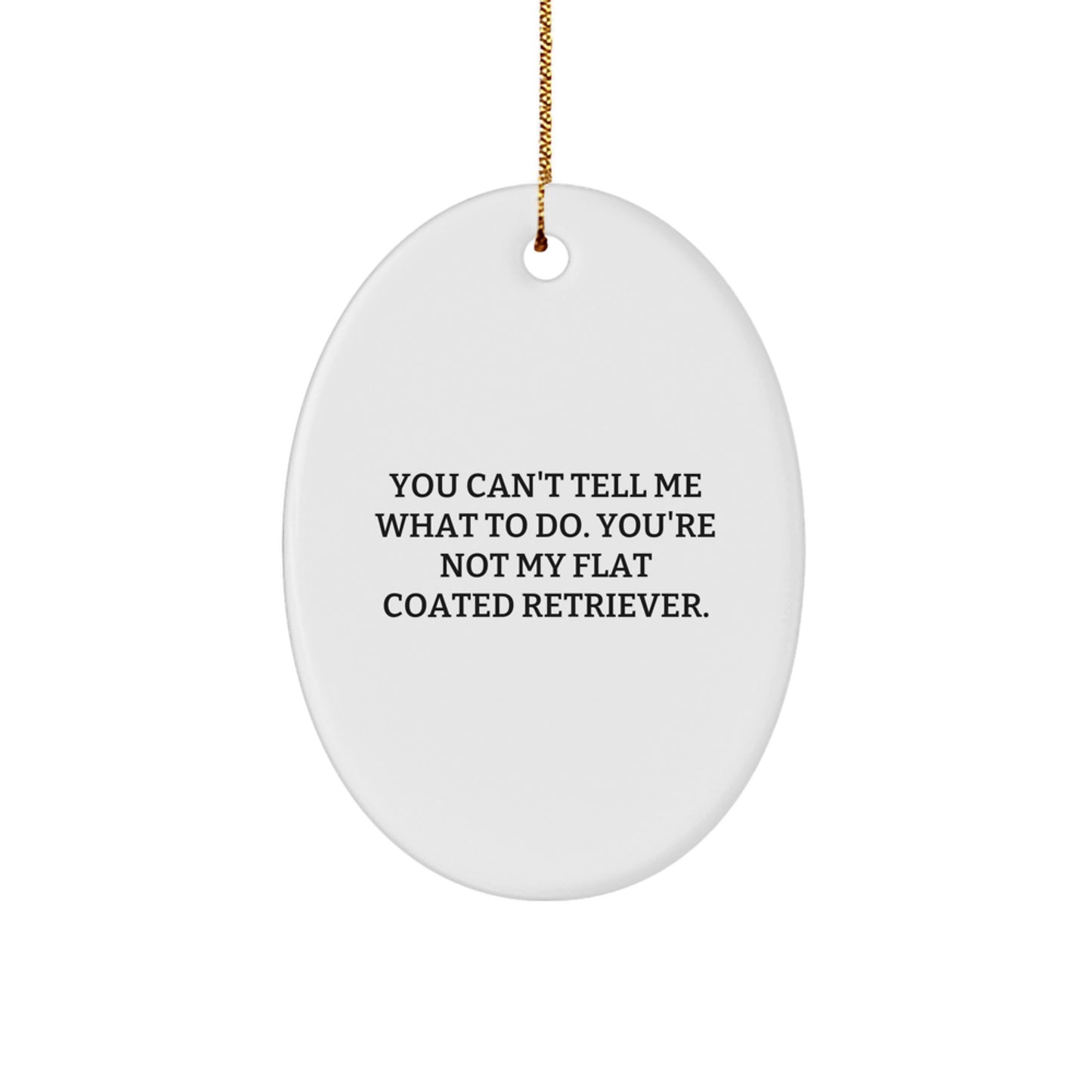 Flat Coated Retriever Dog Gifts Funny Oval Ornament from Friends for Christmas